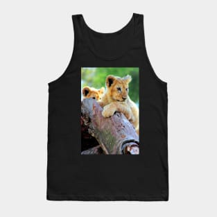 Lion Cubs at Play Tank Top